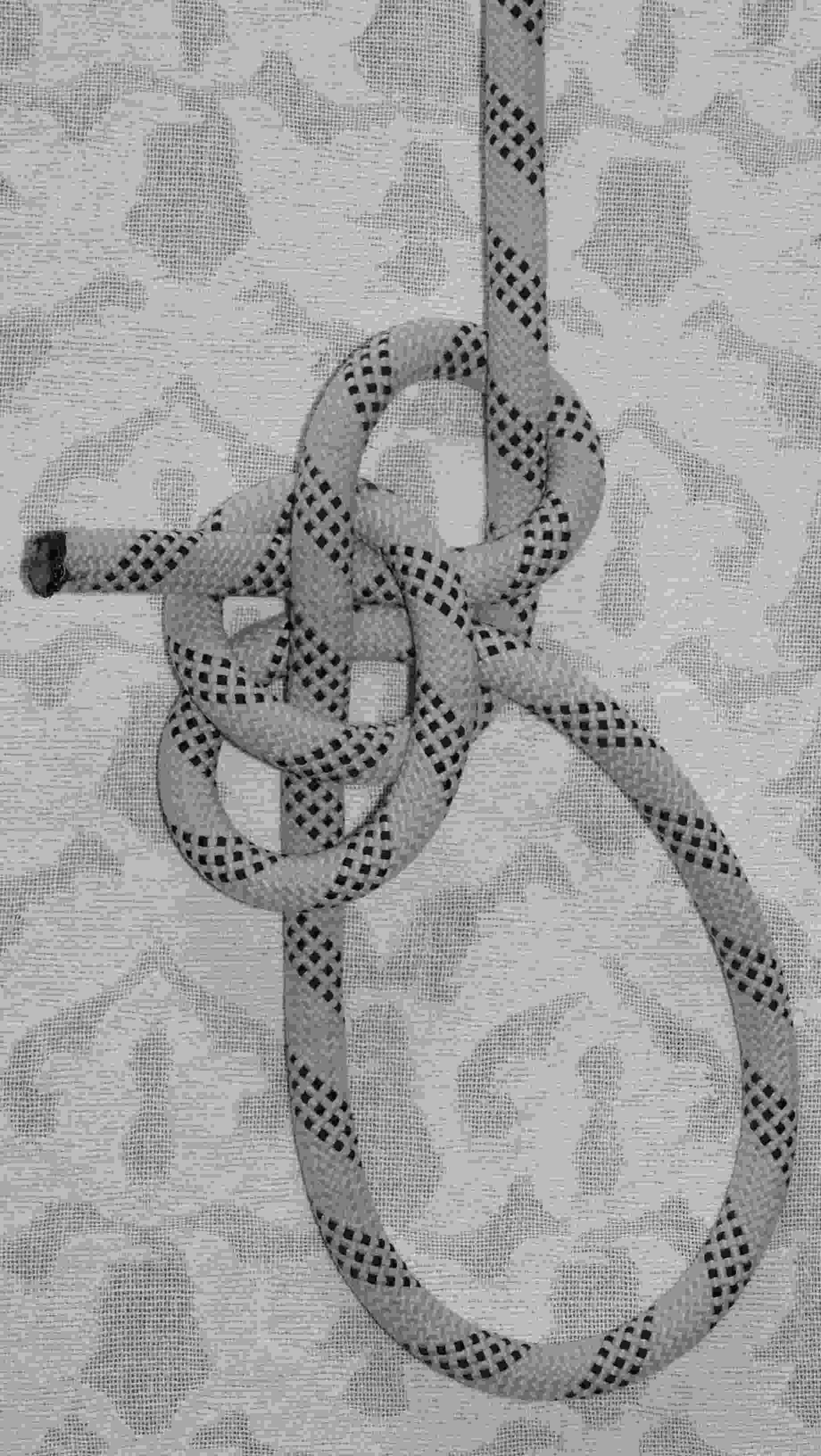 Double crossed nipping loops bowline (2).JPG