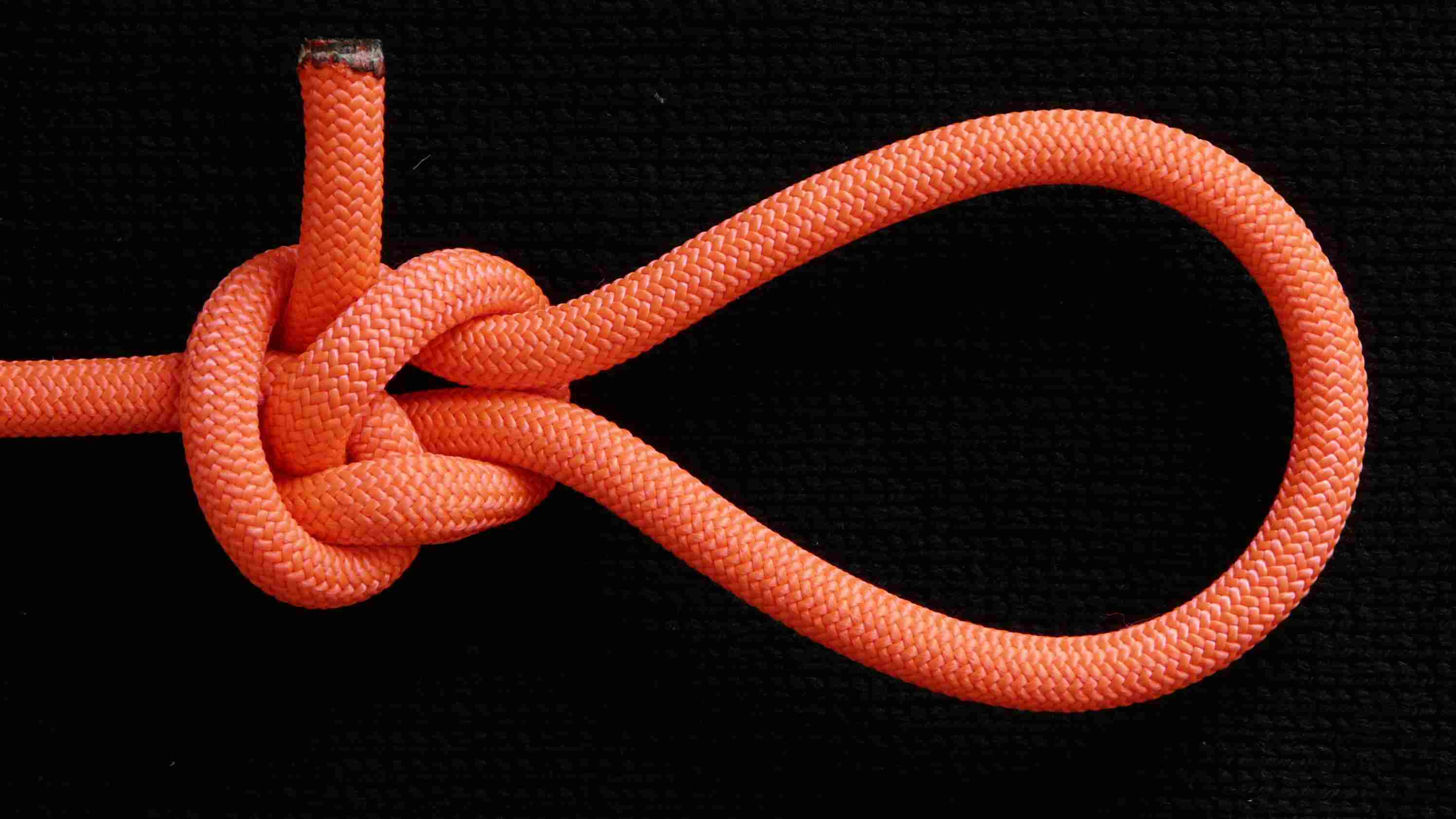 Luca s crossing knot TIB loop (front view).JPG