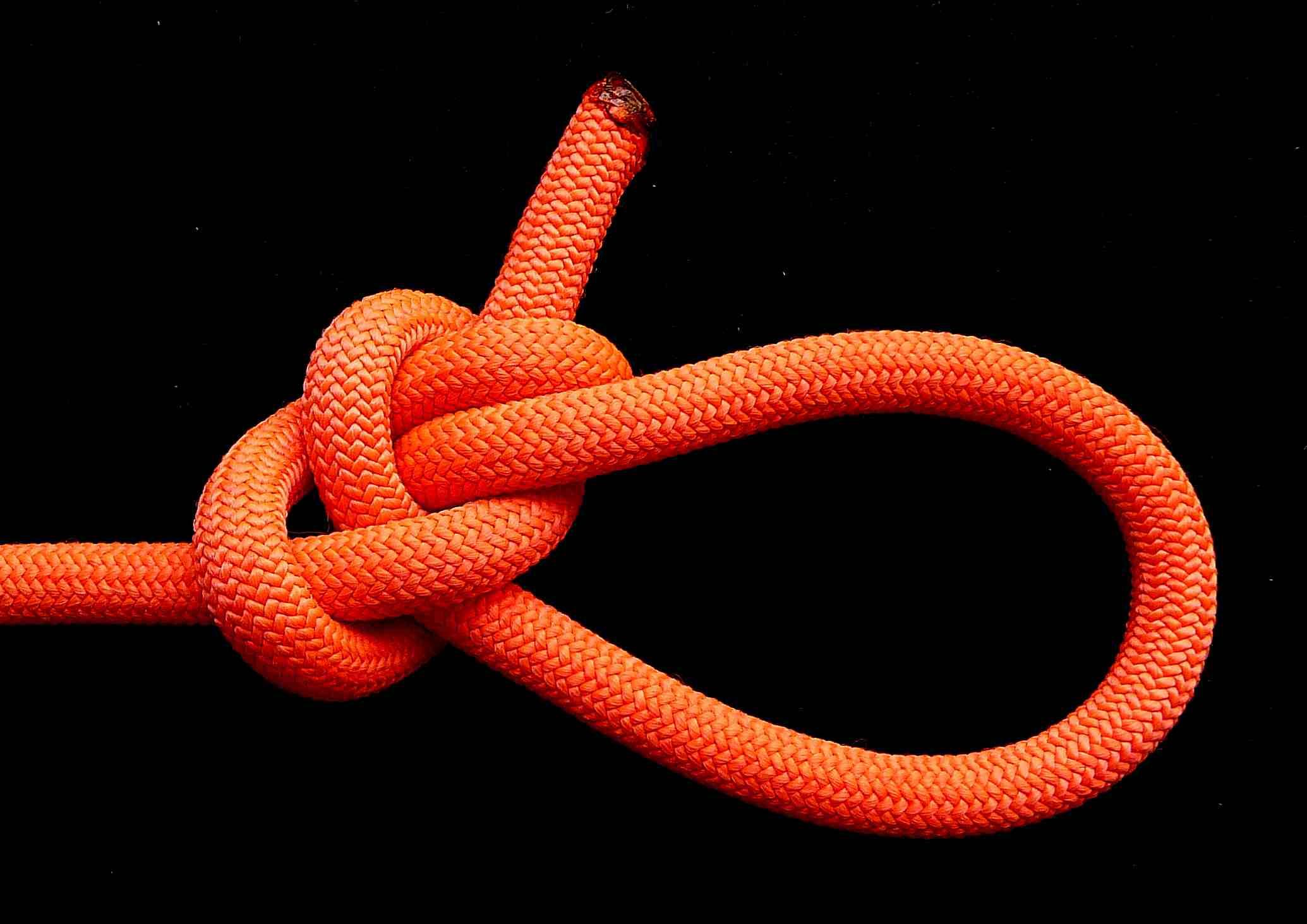 vertical coil on the rim of the nipping loop (2).JPG