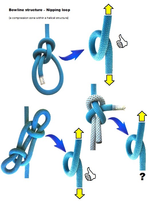 Bowline_Structure_NippingLoop.jpg