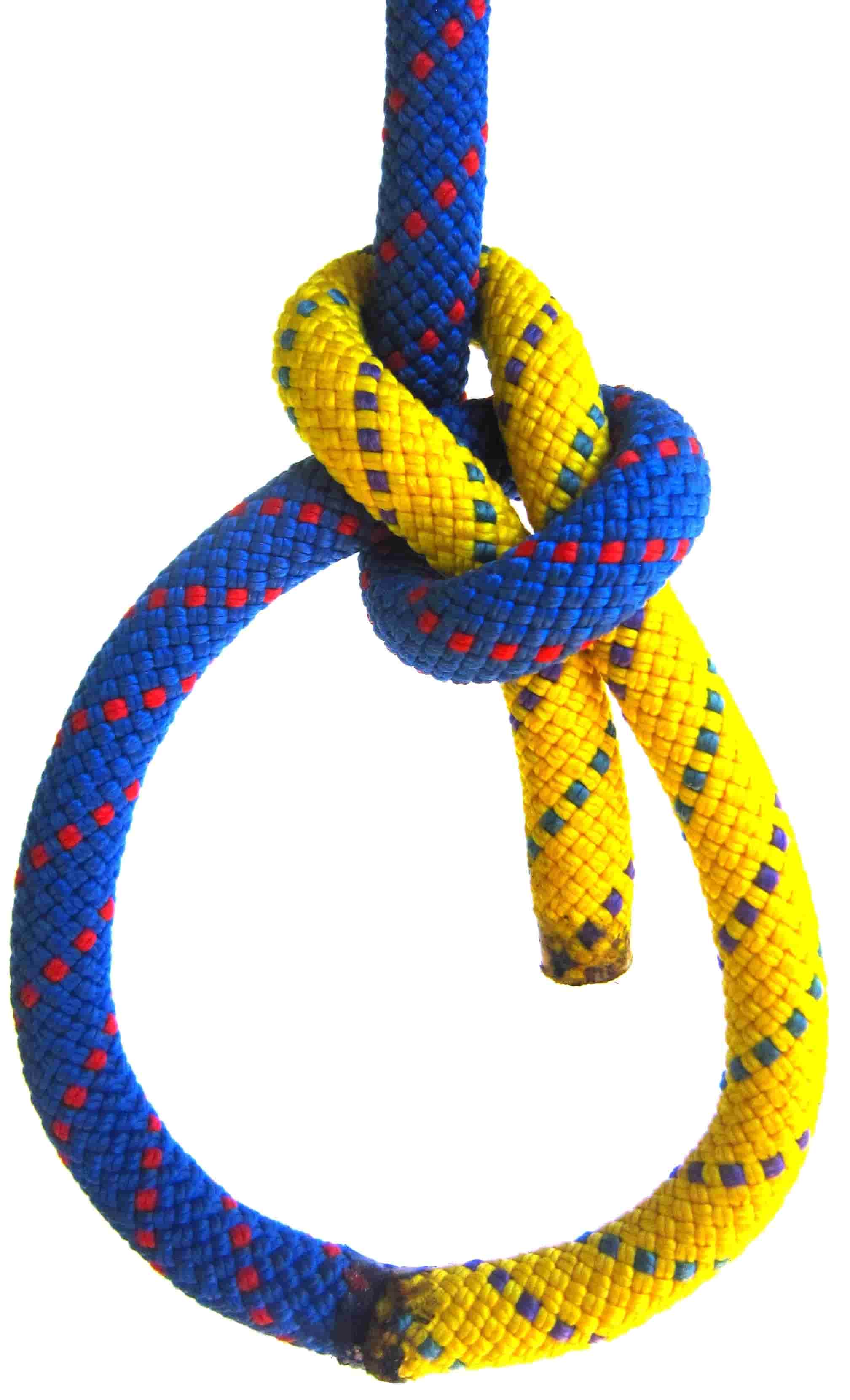 Bowline_1010_rear_color_WEB.JPG