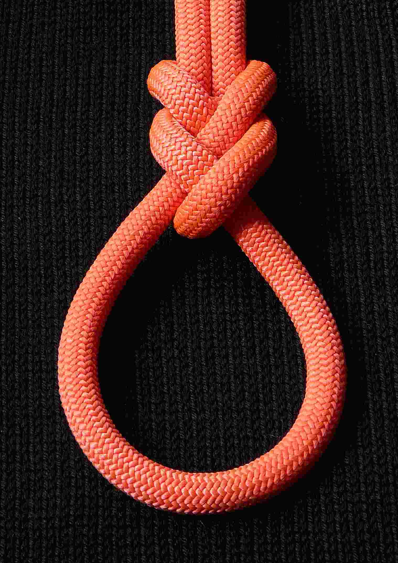 Plait loop.JPG