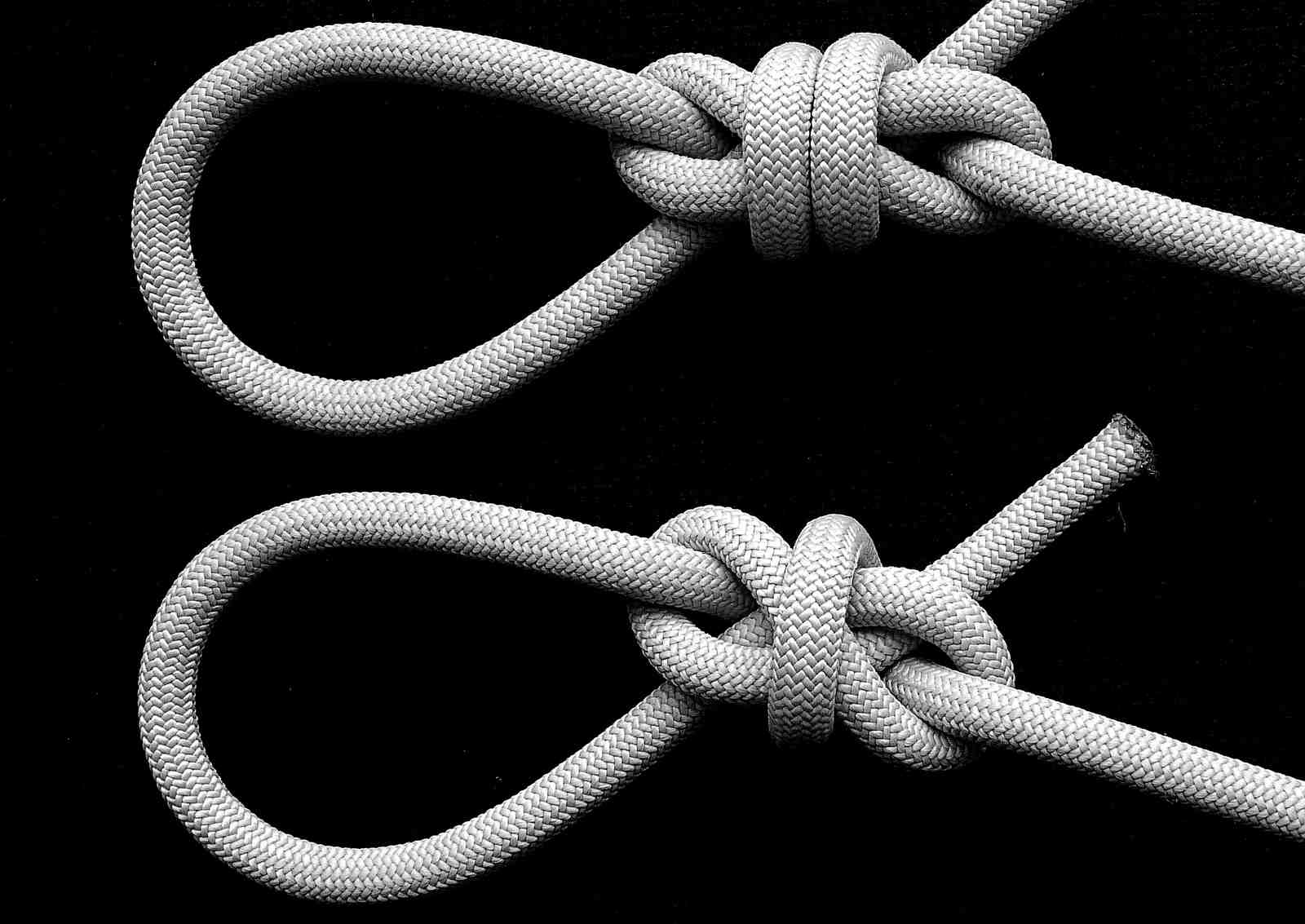 Helical loop(s) ( Constrictor )(rear view) (B&W).JPG