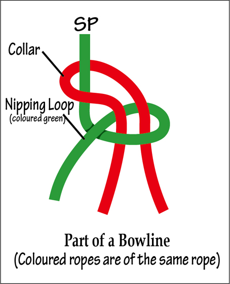 HalfHitchBowline2.jpg