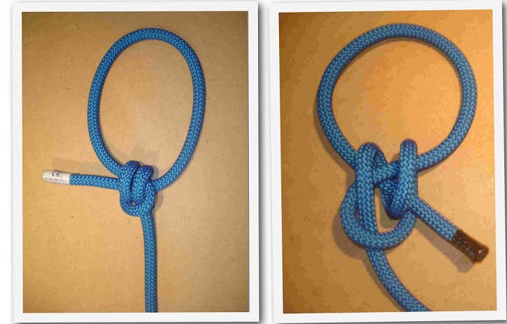 SP-Tail Reversed.jpg