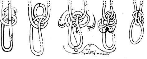 Lehman s TIB locked bowline.jpg