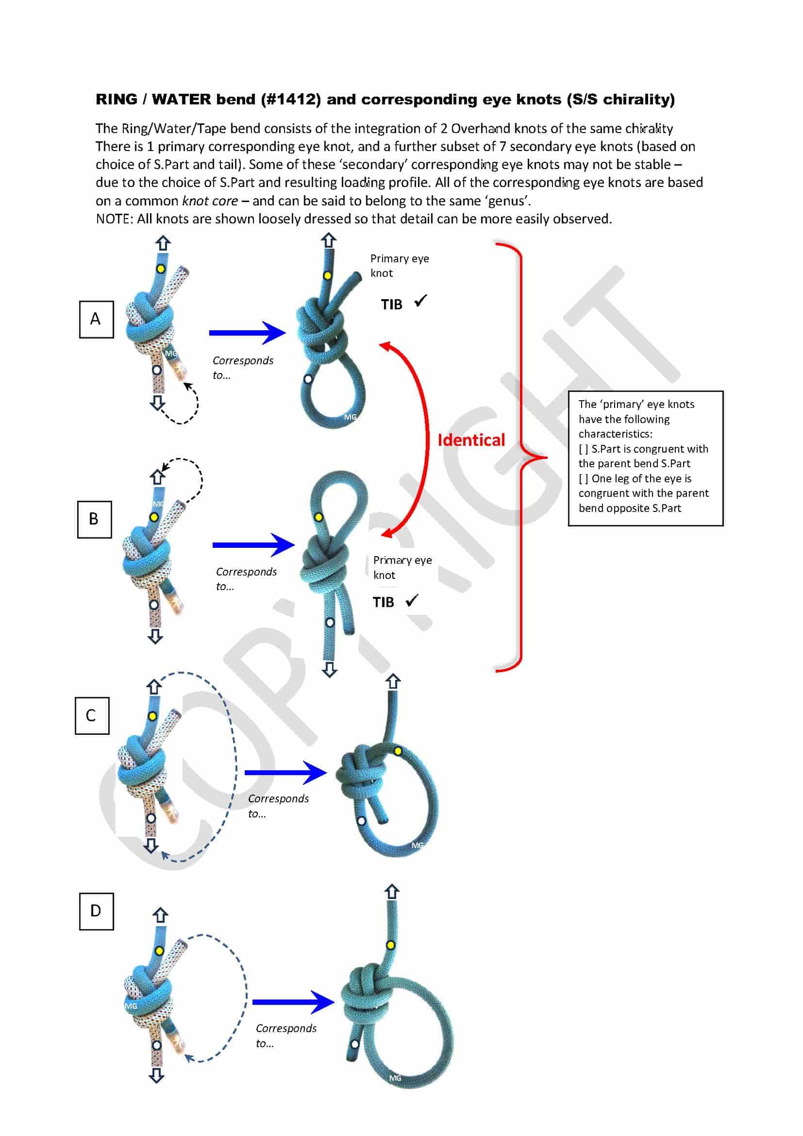 Ring-bend-1412_corresponding eye knots-min.jpg