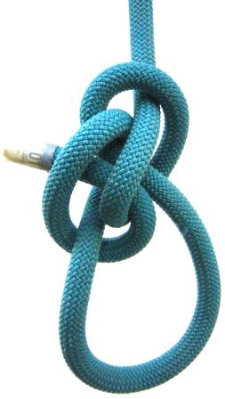 Zeppelin_EyeKnot_Back.JPG